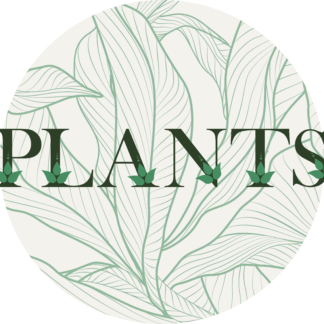The World of Plants Booklet