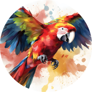 Macaw